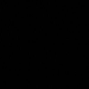 Meet your Posher, Sshyanne